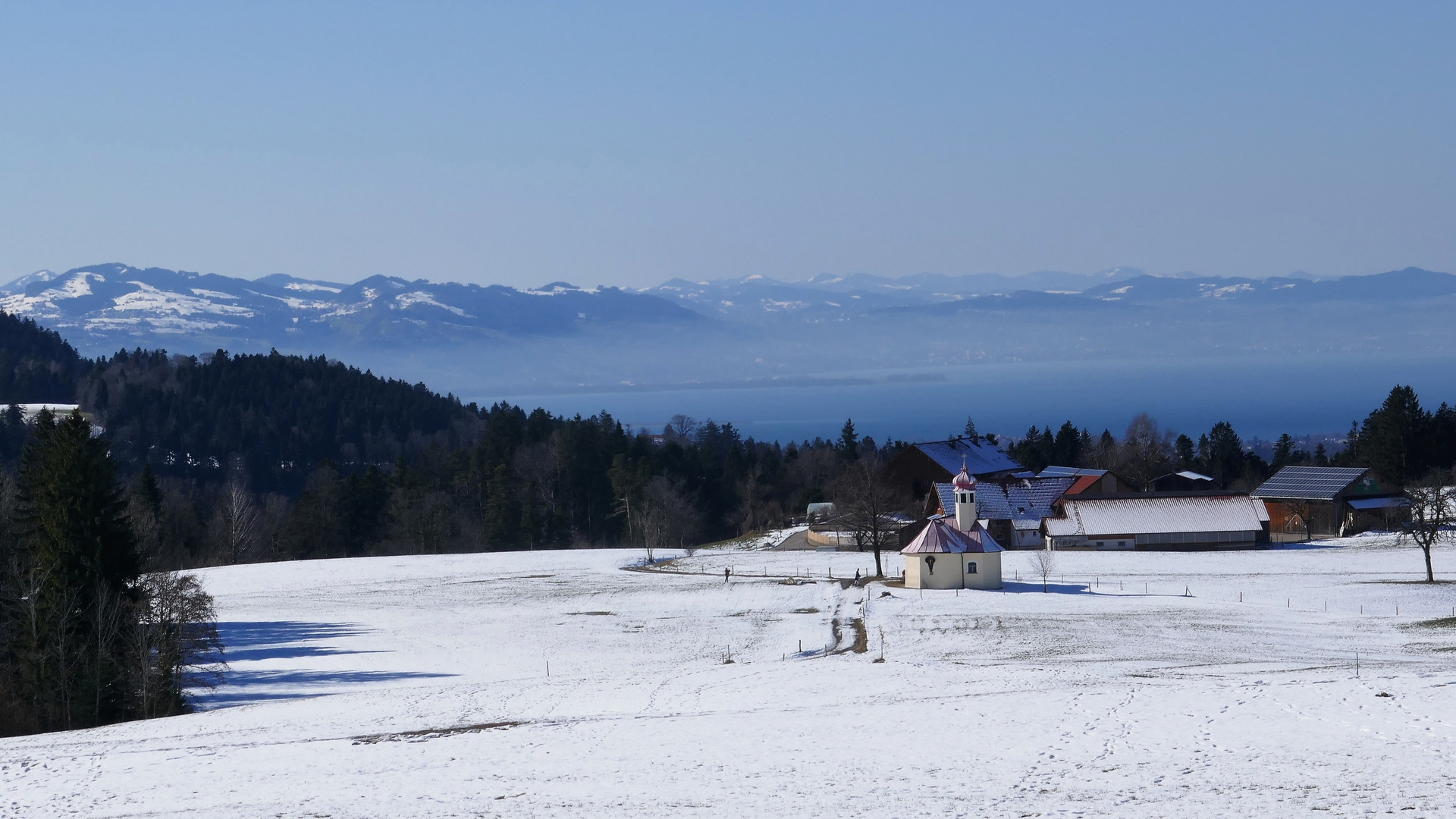 Bodenseeblick