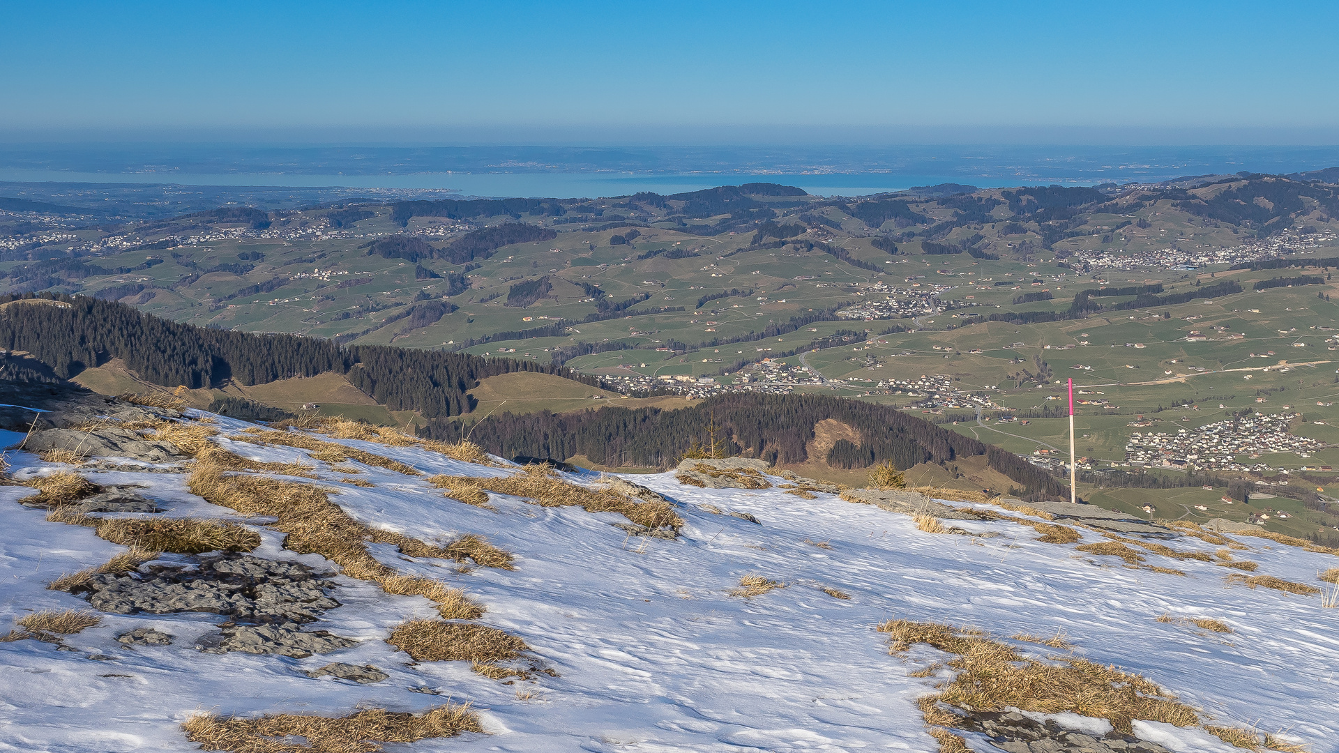 Bodenseeblick