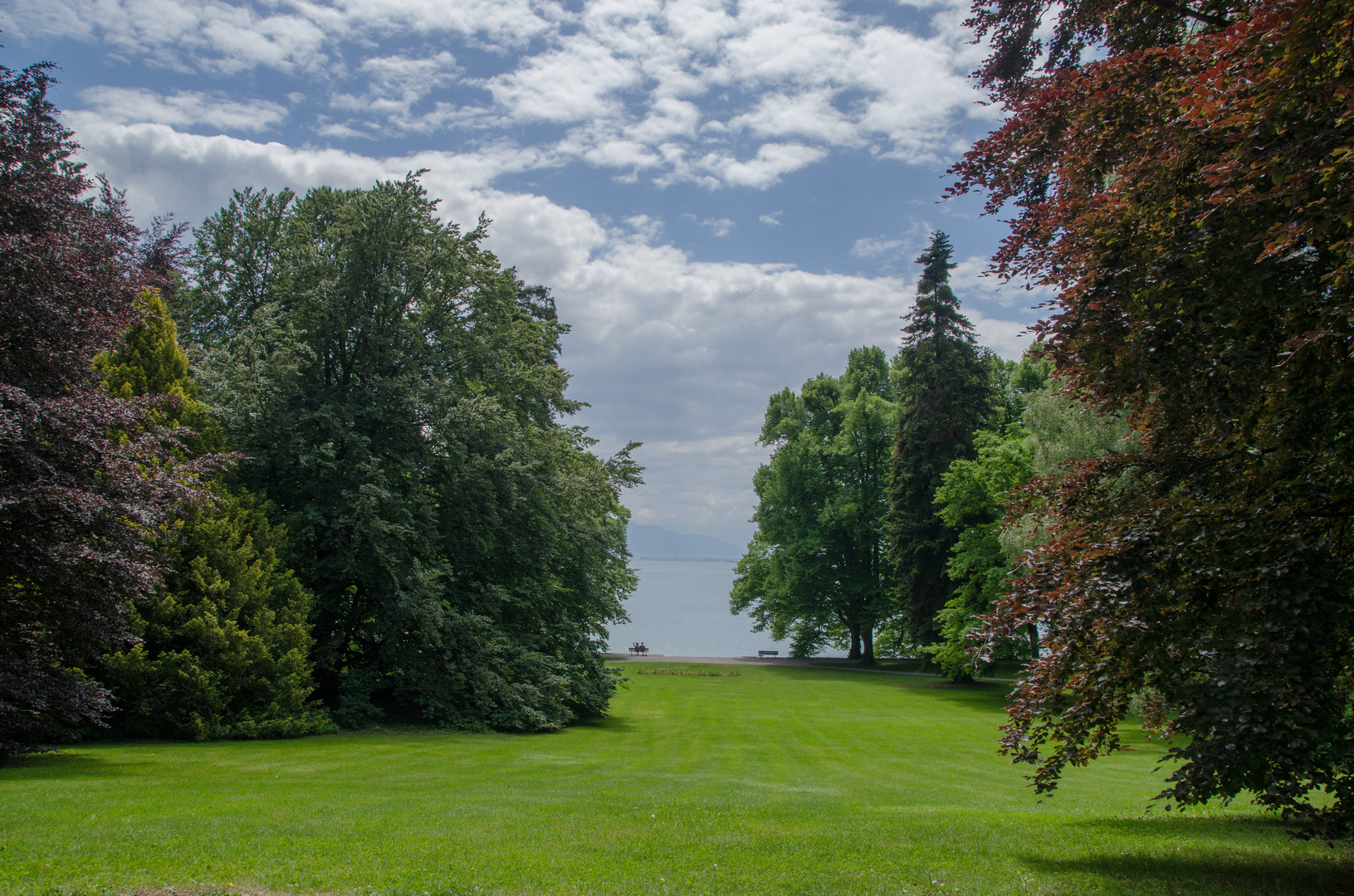 Bodenseeblick im Park