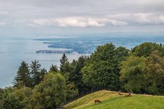 Bodenseeblick vom Pfänder