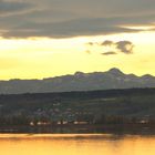 Bodensee/Gnadensee bei Allensbach mit Sicht auf die Alpen