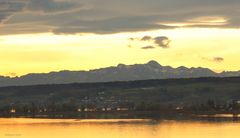 Bodensee/Gnadensee bei Allensbach mit Sicht auf die Alpen