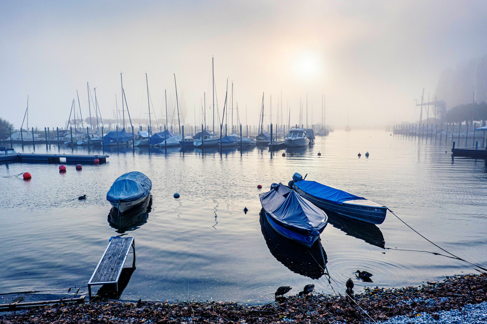 Bodenseehafen im Herbst