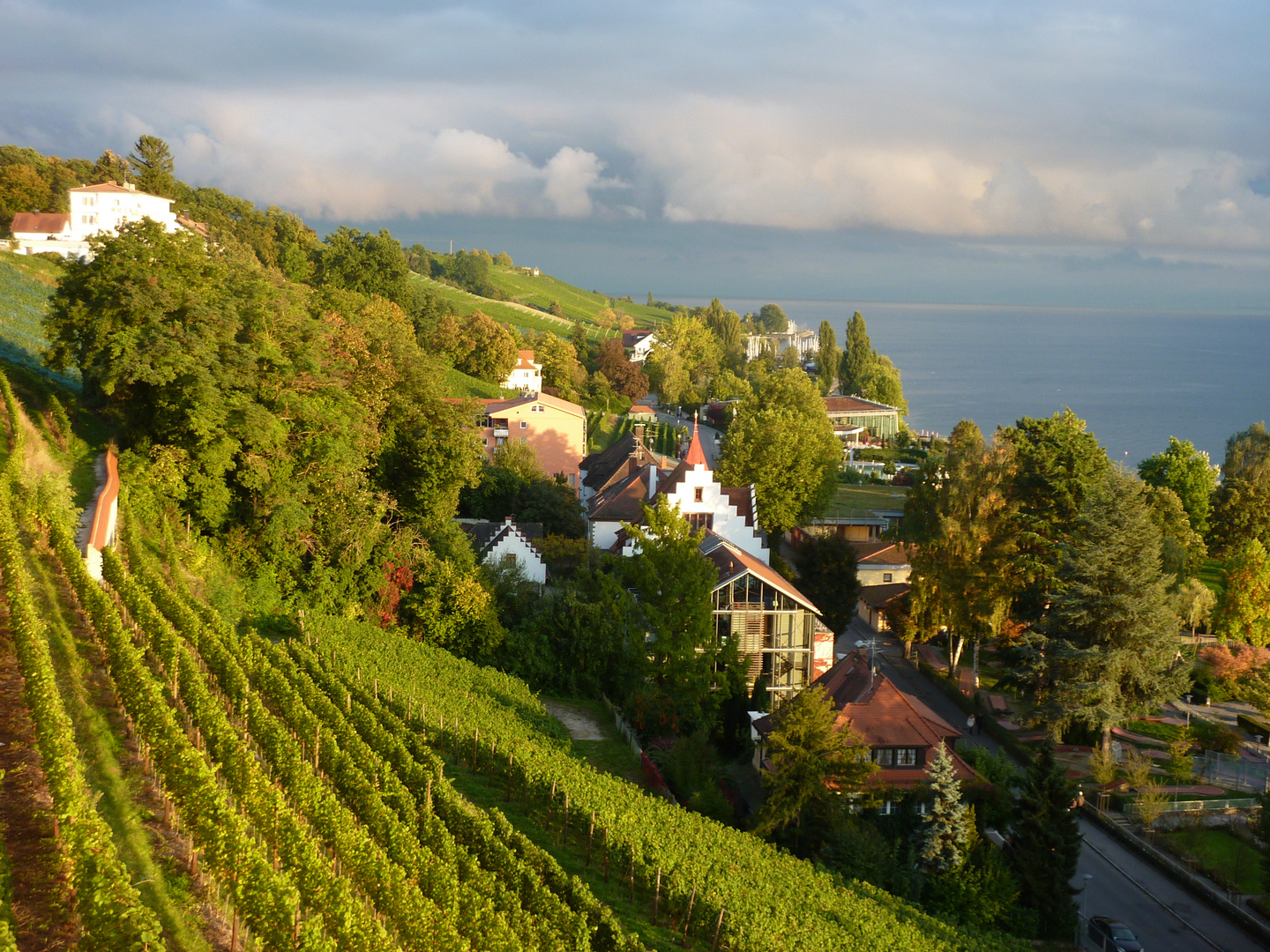 Bodenseeherbst