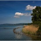 Bodenseeimpressionen