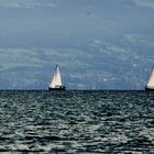 Bodenseeimpressionen 7