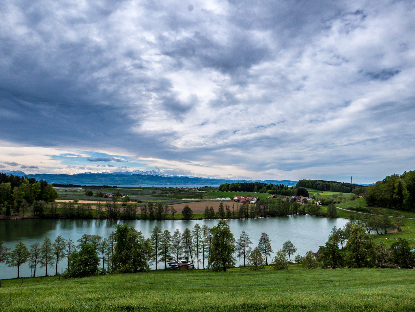 Bodenseelandschaft