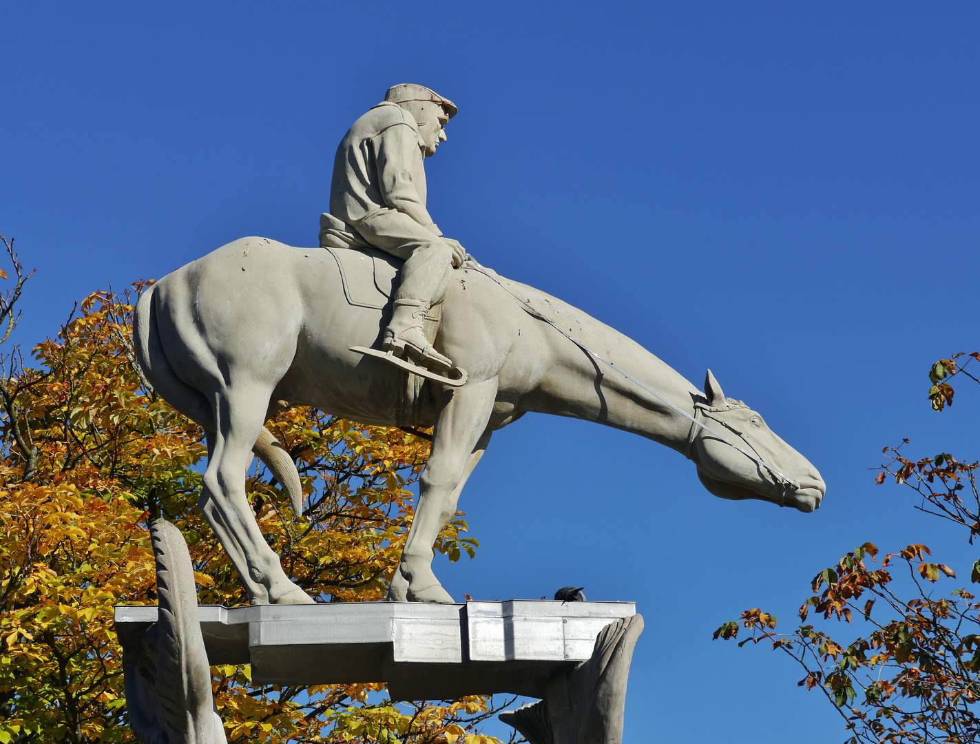 " Bodenseereiter "