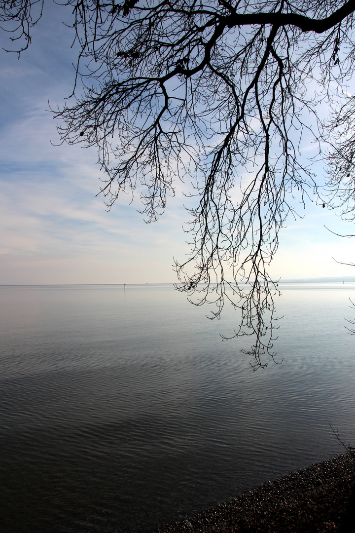 Bodenseeufer Konstanz II