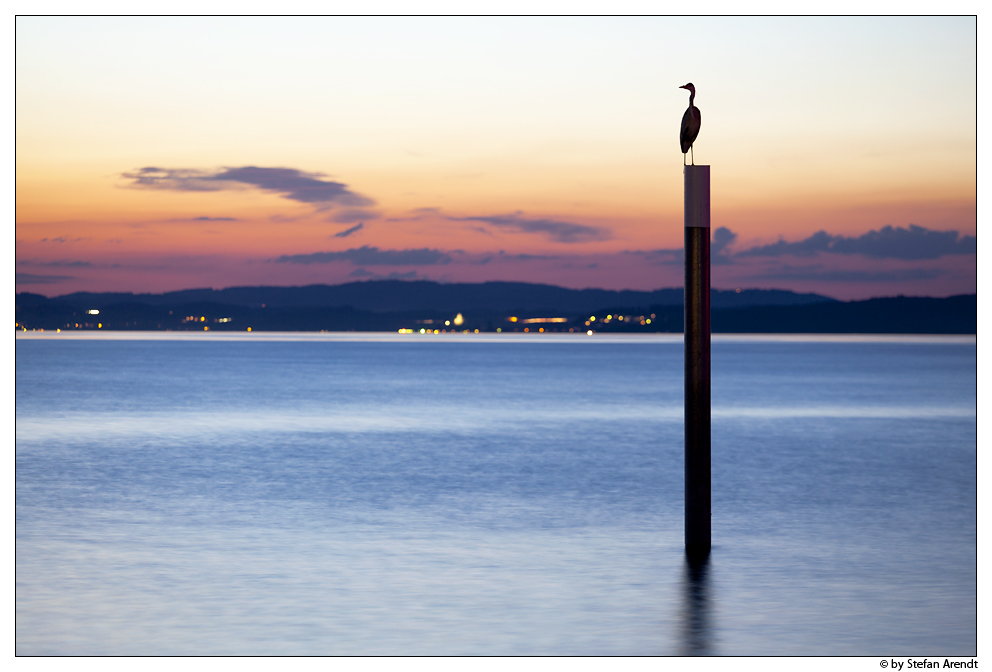 Bodenseewächter