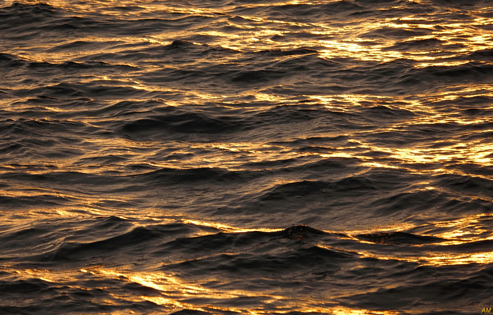 Bodenseewasser im Herbstlicht