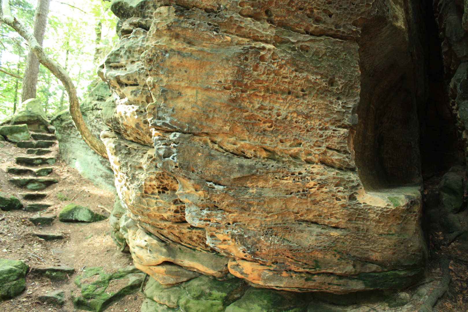 Bodenstein Klippe