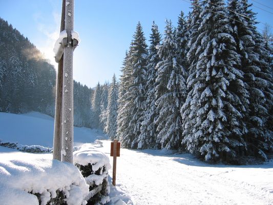 Bodental-Lichmoment-Impression