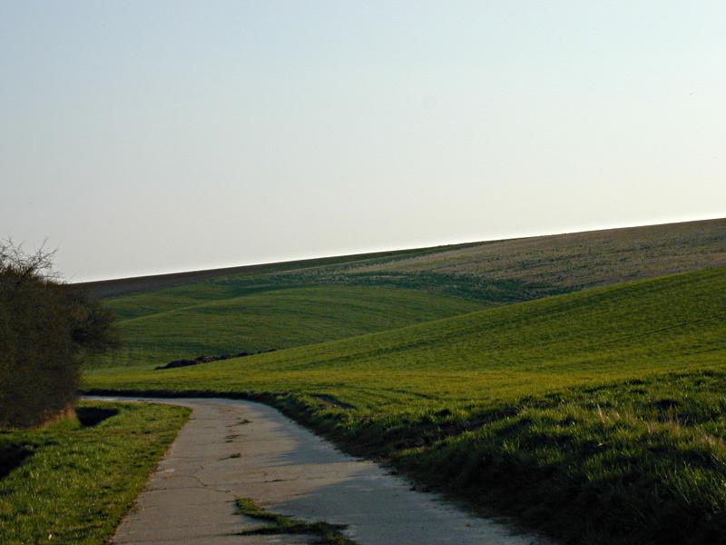 Bodenwellen bei Mittel-Gründau