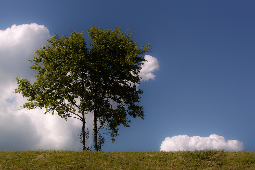 Bodenwolken