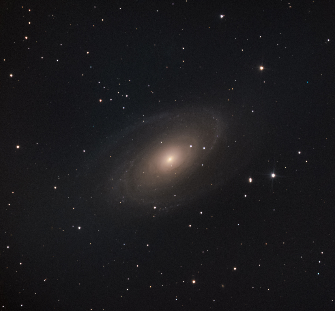 Bodes Galaxie M-81 (Test neues Newton 200PDS)