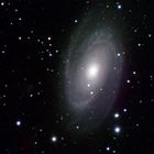 Bodes Galaxie M81