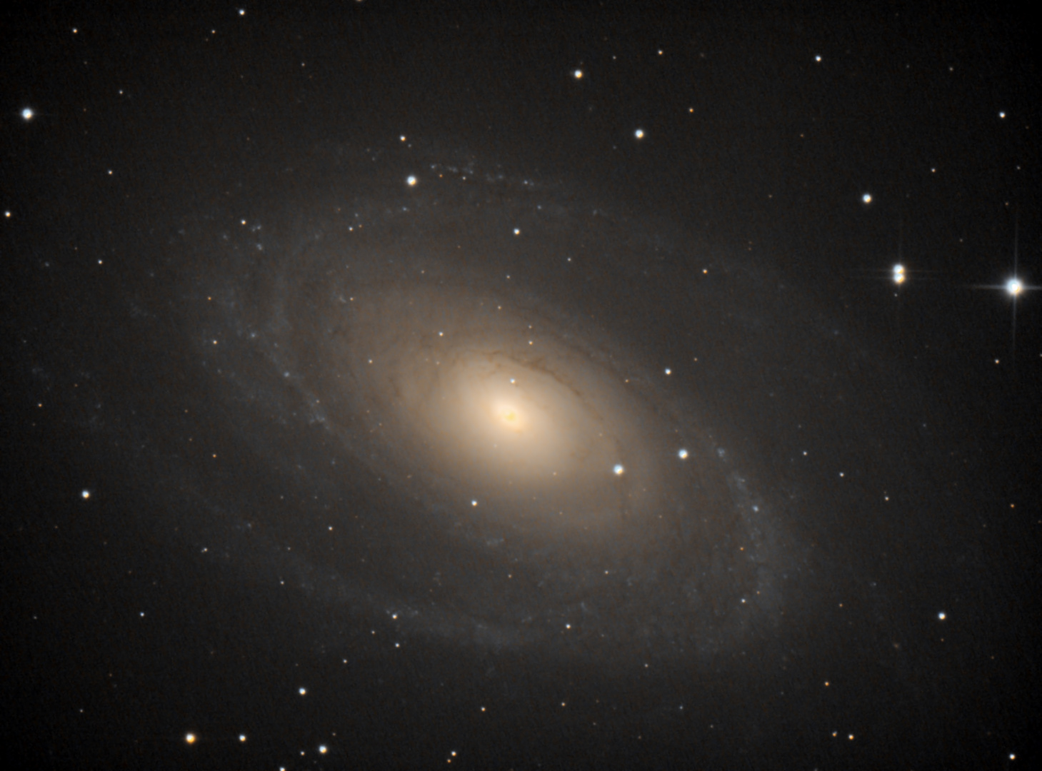 Bode’s Galaxie M81