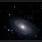 Bodes Galaxie M81 (noch einmal :-) )