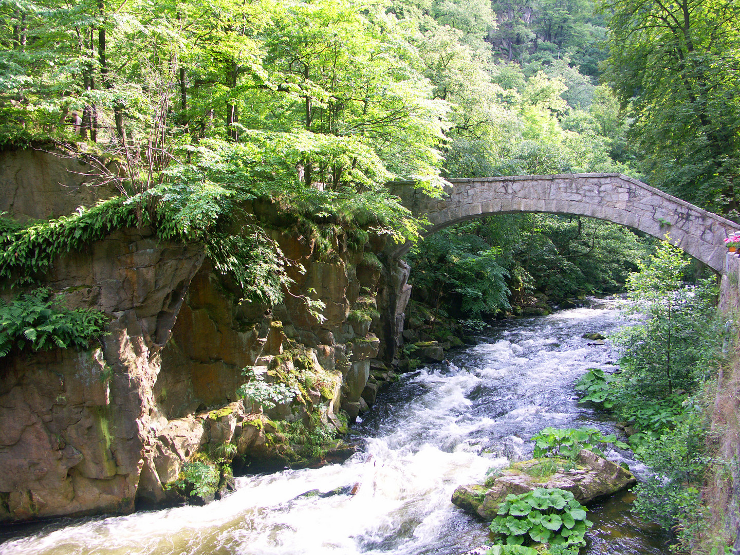 Bodetahlbrücke