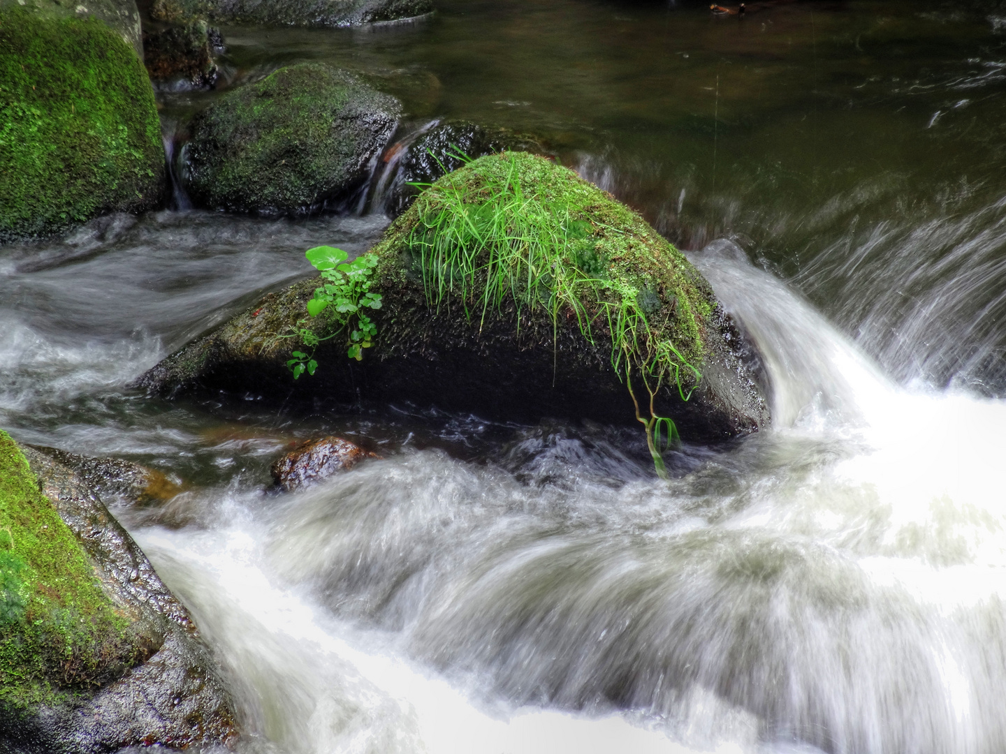 Bodetal