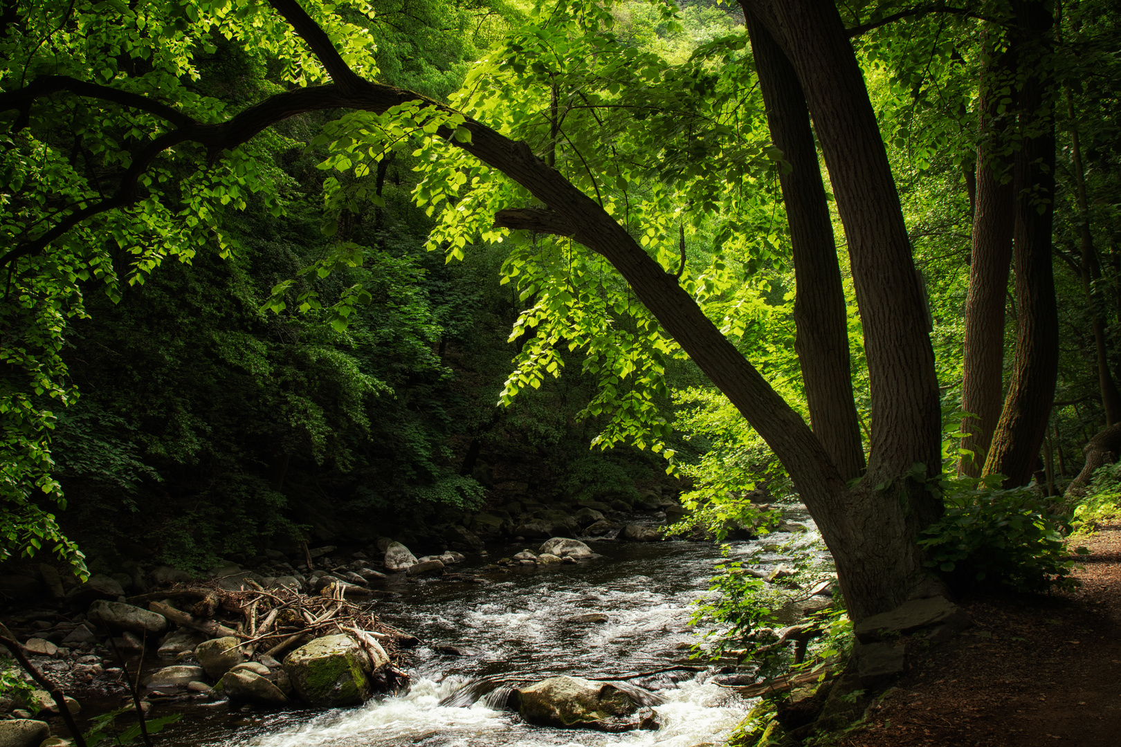 Bodetal