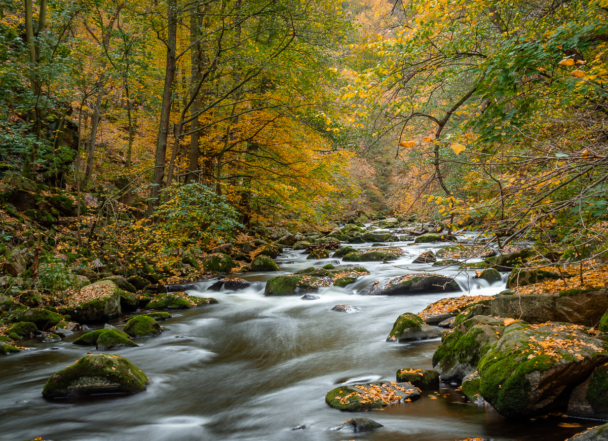 Bodetal