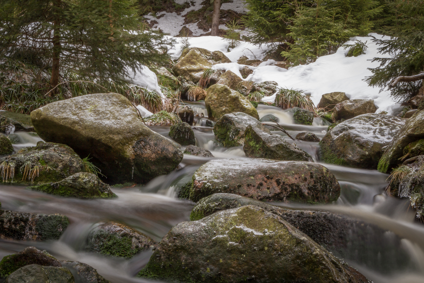 Bodetal (1)