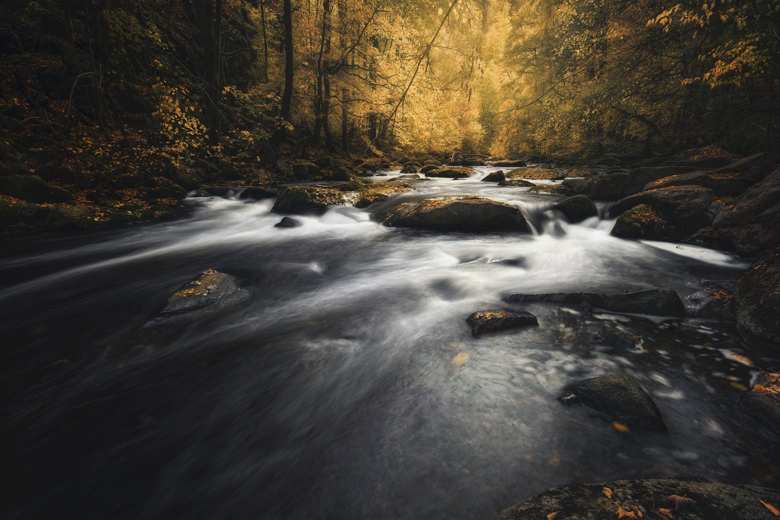 Bodetal Foto & Bild natur, herbst, landschaft Bilder auf