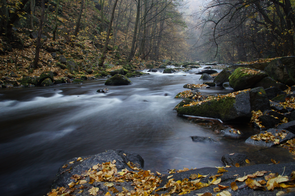 Bodetal