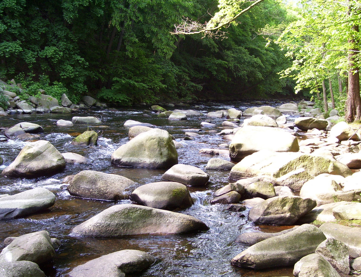 Bodetal bei Thale