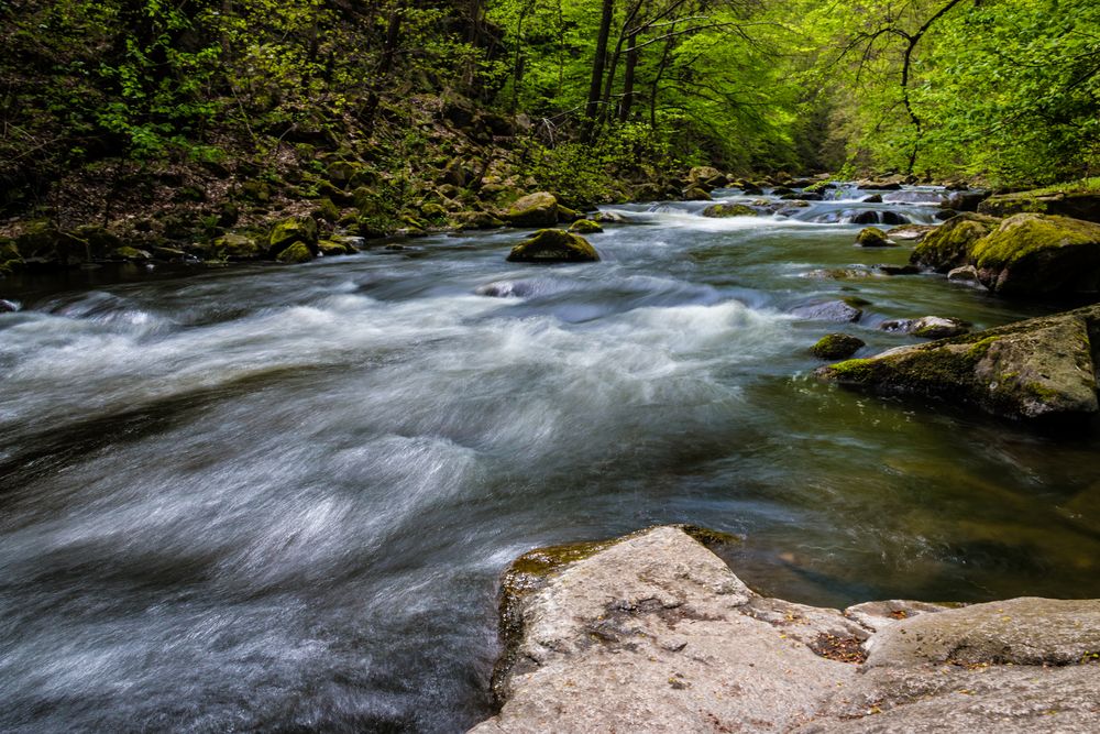 Bodetal