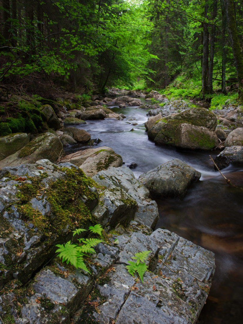 Bodetal