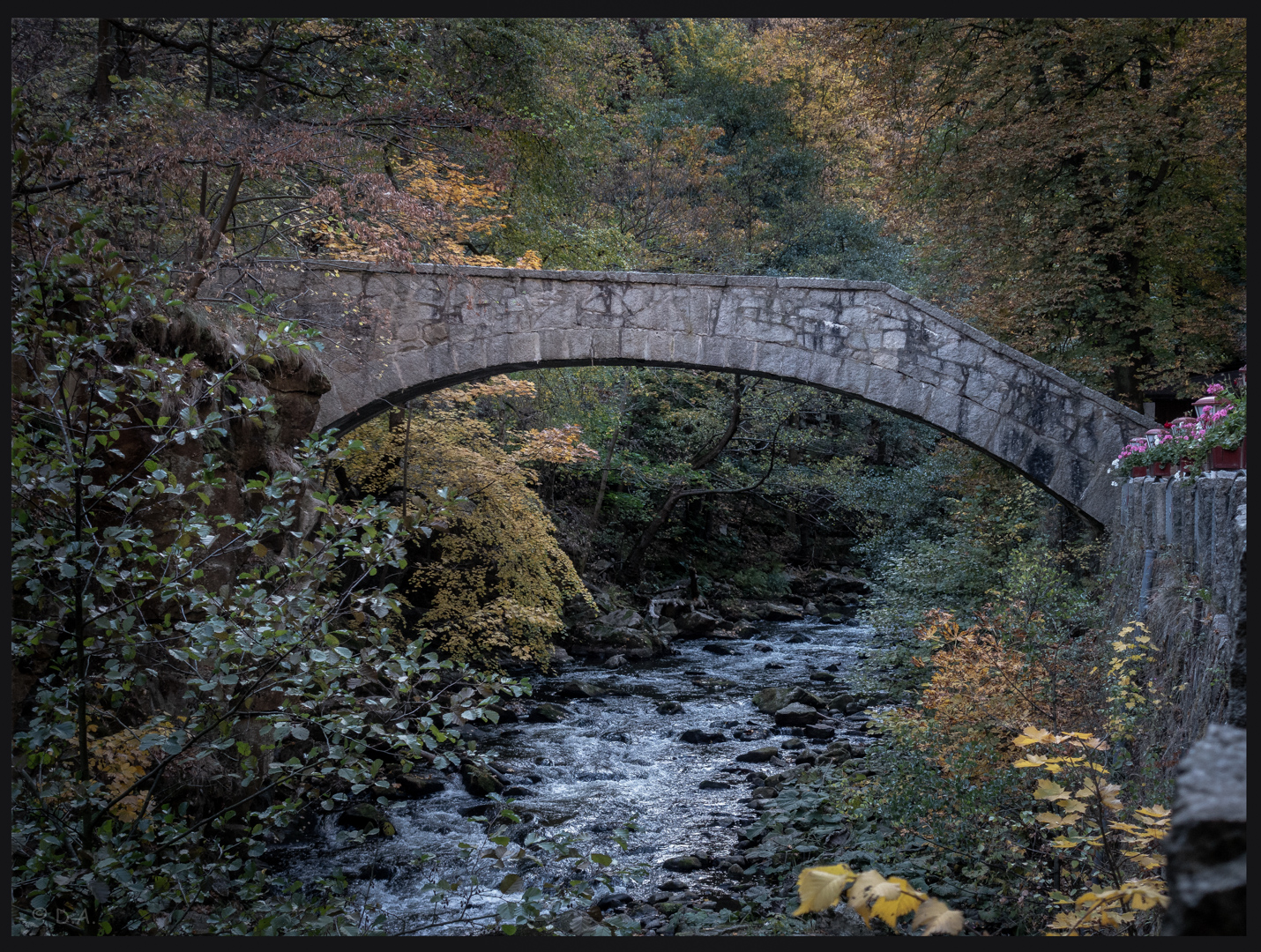 Bodetal Harz