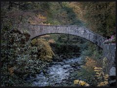 Bodetal Harz