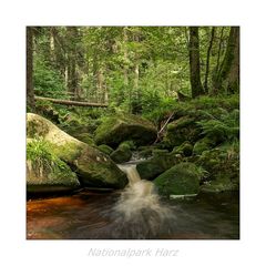 Bodetal / Harz " so schön und Wild ist unser Harzer Land...."