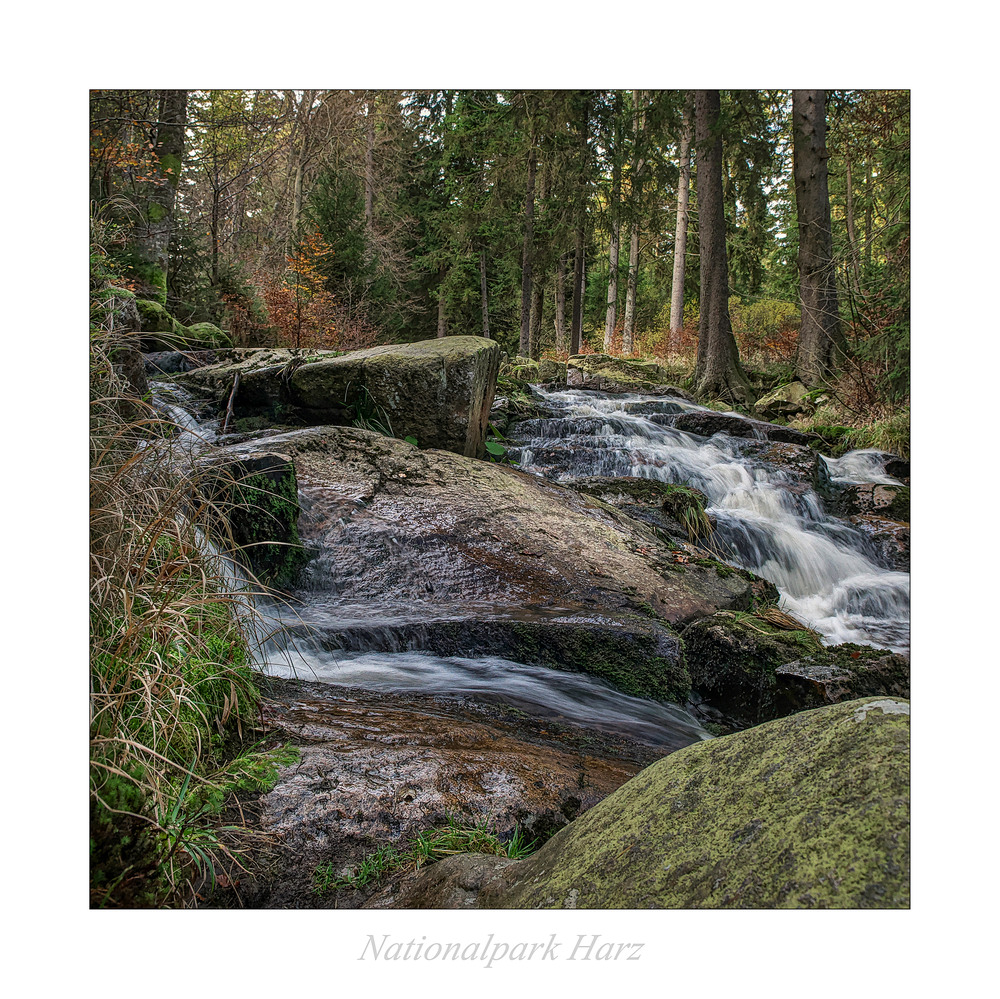 Bodetal / Harz " so schön und Wild ist unser Harzer Land............."