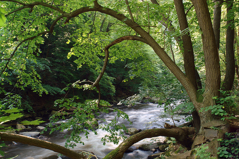 Bodetal im Harz