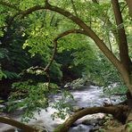 Bodetal im Harz