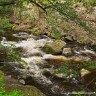 Bodetal Thale 1