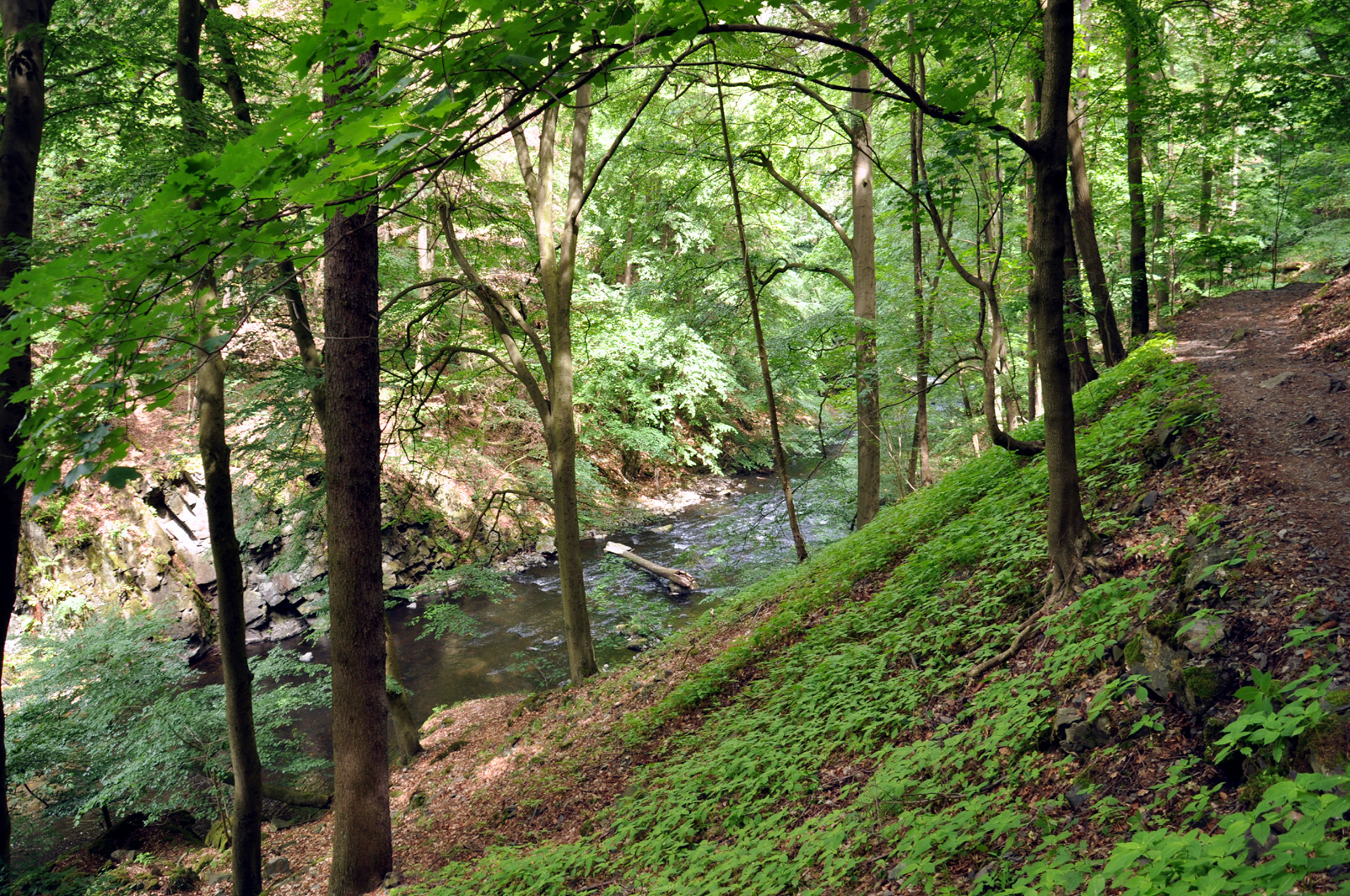 Bodetal Wanderung