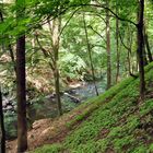 Bodetal Wanderung