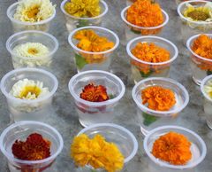 Bodhgaya: Flower offerings