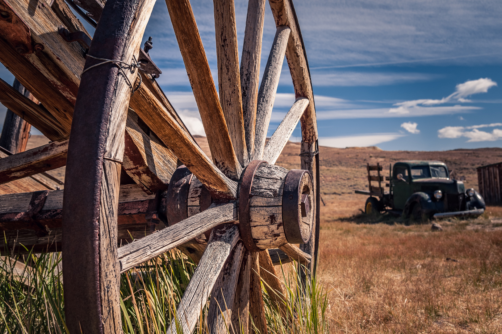 Bodie