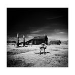 Bodie (1)