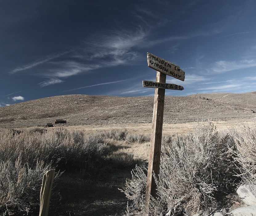 Bodie (11)