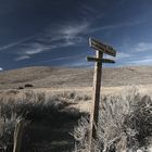 Bodie (11)