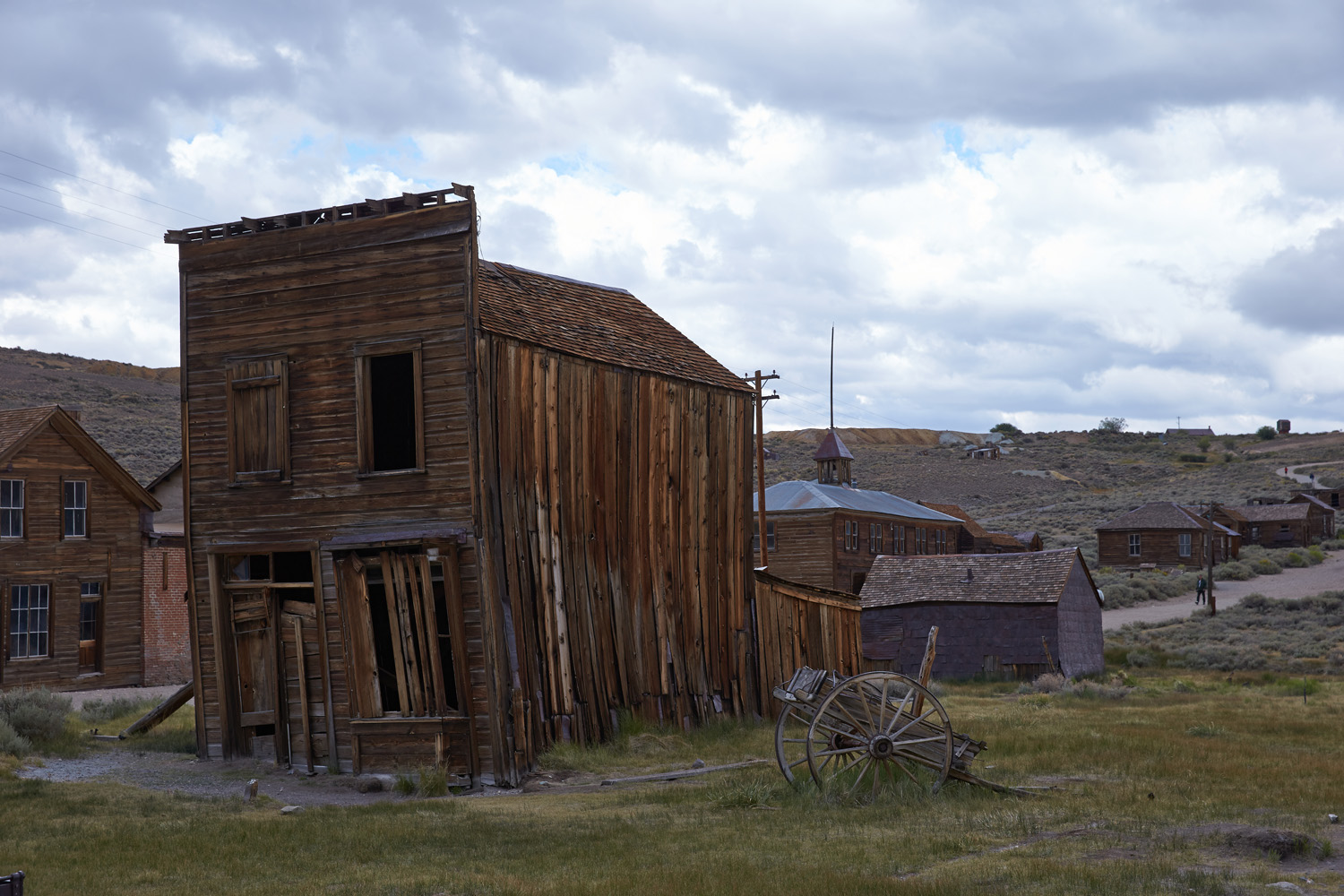 Bodie