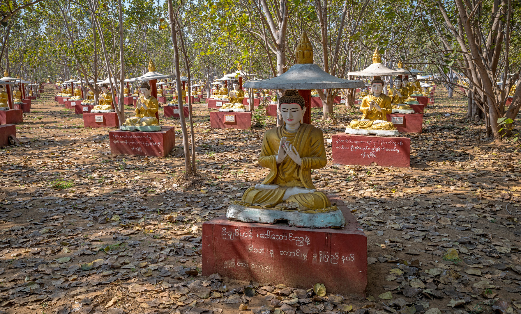 Boditahtaung oder die 1'000 Buddhas bei Monywa