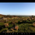 Bodmin Moor